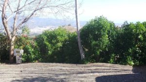 typical-plot-velez-malaga-1