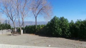 typical-plot-velez-malaga-3