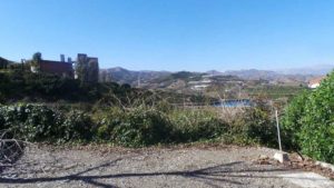 typical-plot-velez-malaga-4