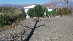 typical-plot-velez-malaga-5