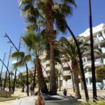 Nules 3