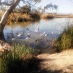 Nules Moncofa (17)