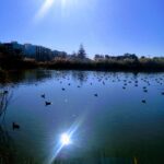 Nules Moncofa (19)