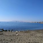 Malaga (1)