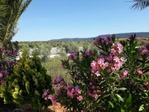 Saydo Manhattan Flowers Mollina
