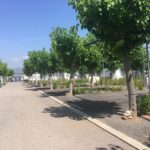 Nules Monmar (25)