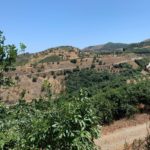 Velez Malaga Costa Del Sol Spain Caravans In The Sun (4)