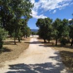 Figueres (29)