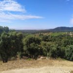 Figueres (58)