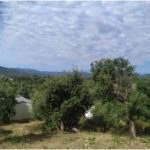 Figueres (59)