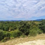 Figueres (69)
