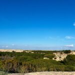 Donana National Park Costa De La Luz El Rocio Caravavans In The Sun (10)