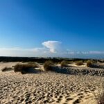 Donana National Park Costa De La Luz El Rocio Caravavans In The Sun (7)