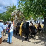 El Rocio Festival (14)