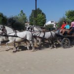 Mobile home park in El Rocio, Spain near Matalascañas