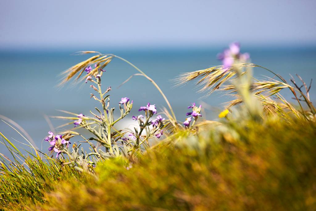Vendee France Caravans In The Sun (3)