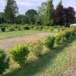 Combourg (17)