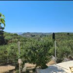 19Tsilivi Mobile Home Park, Zante