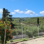 1Tsilivi Mobile Home Park, Zante