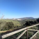Olvera (11)