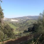 Olvera (12)