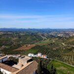 Olvera (19)