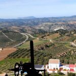 Olvera (25)