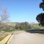 Olvera (4)