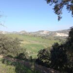 Olvera (6)