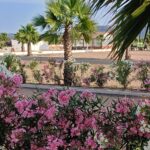 Saydo Manhattan (14)