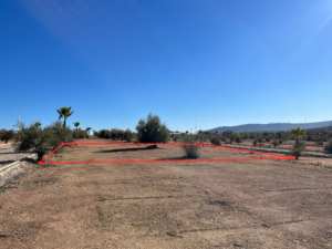 A typical plot is 256 Square Metres (16mx16m) with olive trees dictating the perimeter.