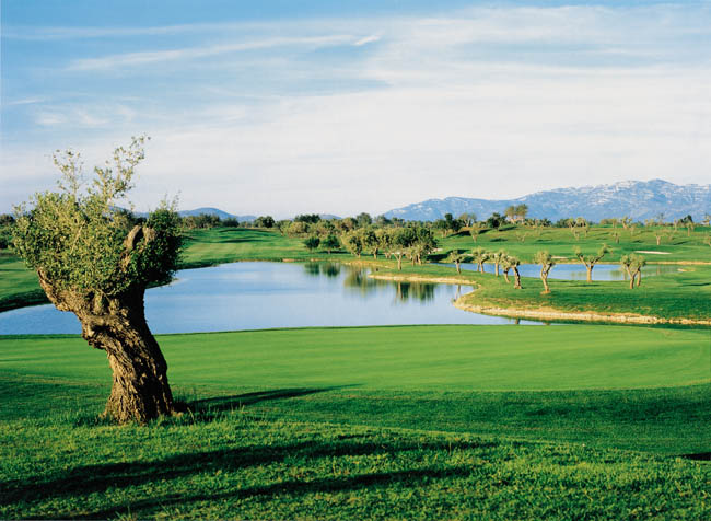 GOLF DURATRAN 04