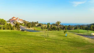 Puig Campana Golfers Choice2026