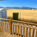 41 Orange Grove Saydo Park (3)