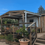 14 Palm Court Saydo (24)