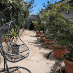 14 Palm Court Saydo (25)