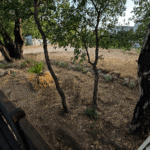 Sunroller Figueres (18)