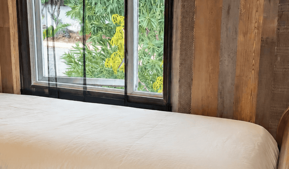 14 Palm Court Saydo (19)