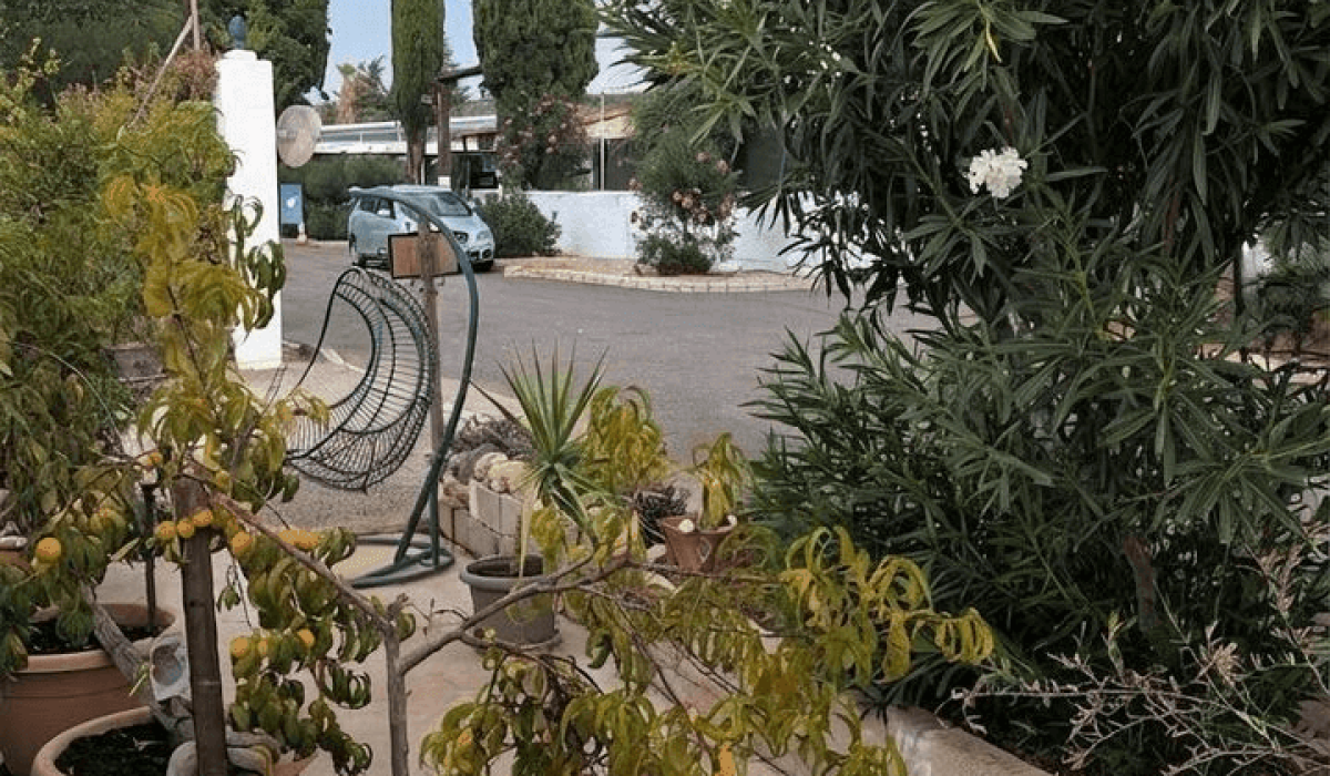 14 Palm Court Saydo (23)