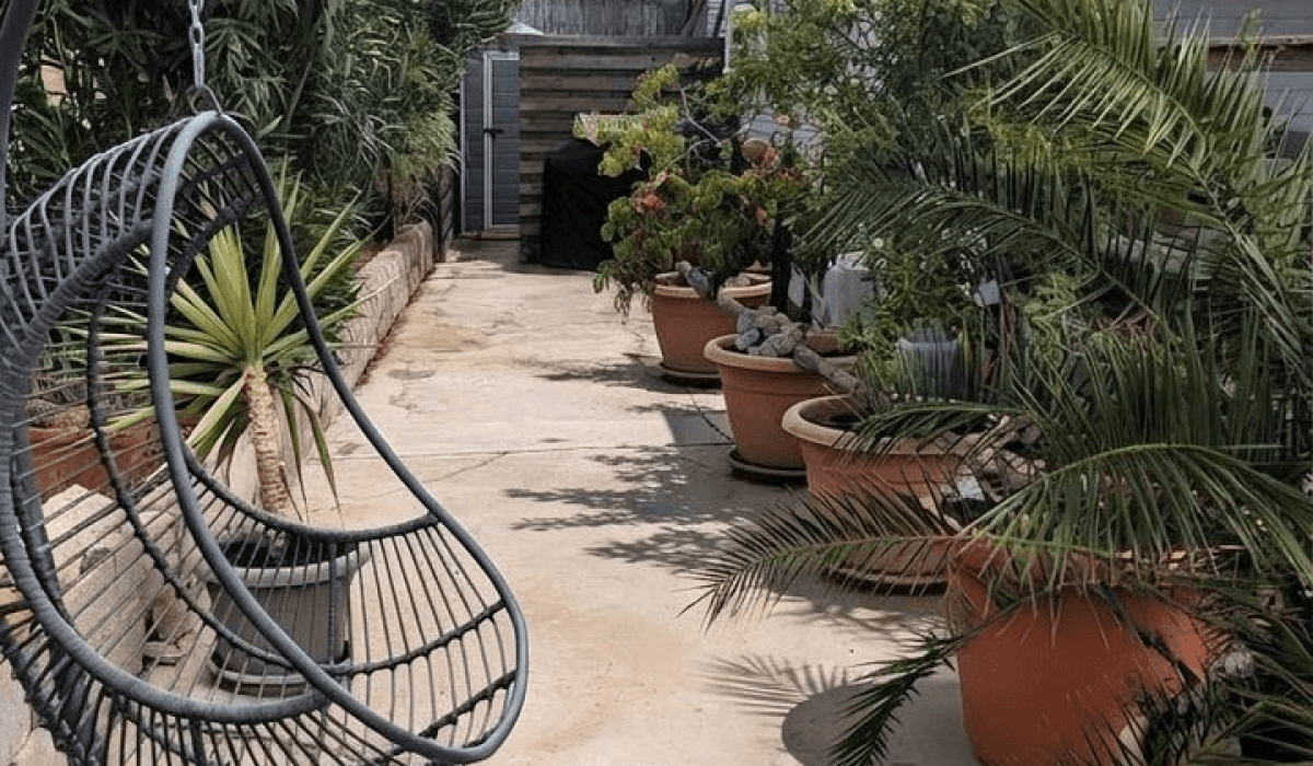 14 Palm Court Saydo (25)
