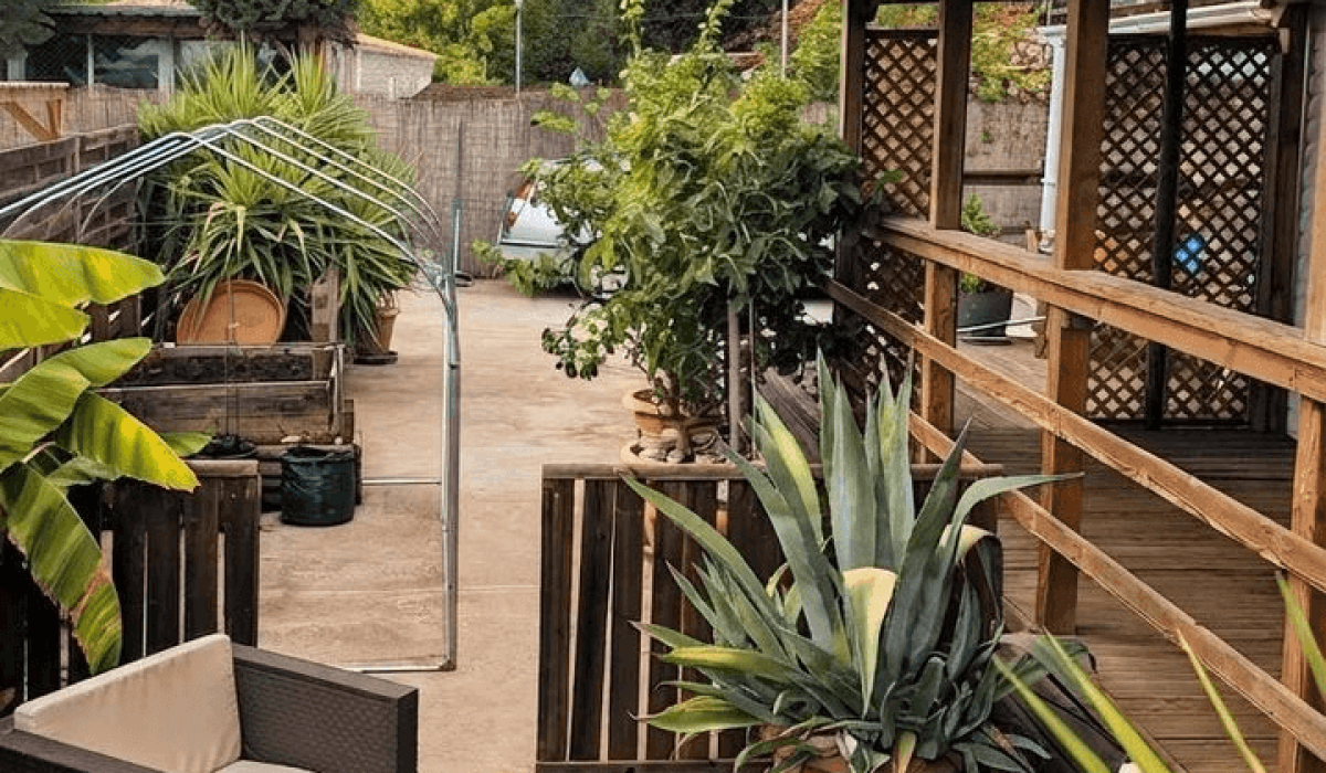 14 Palm Court Saydo (26)
