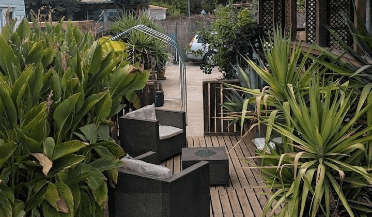 14 Palm Court Saydo (30)