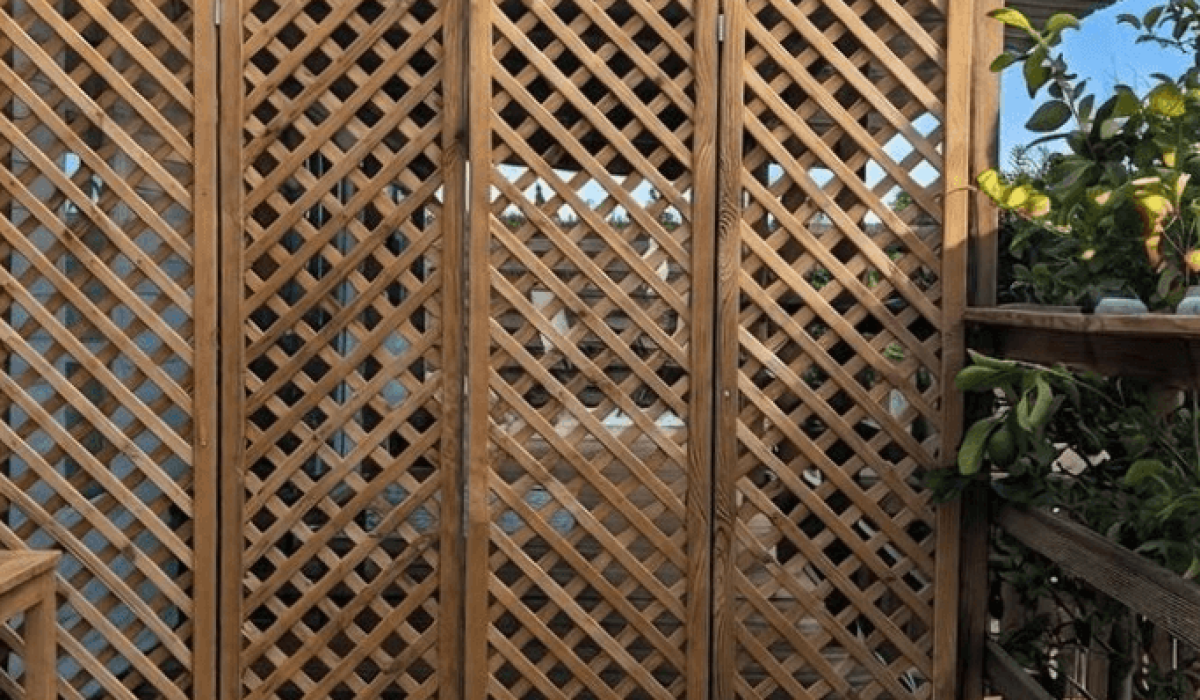 14 Palm Court Saydo (32)