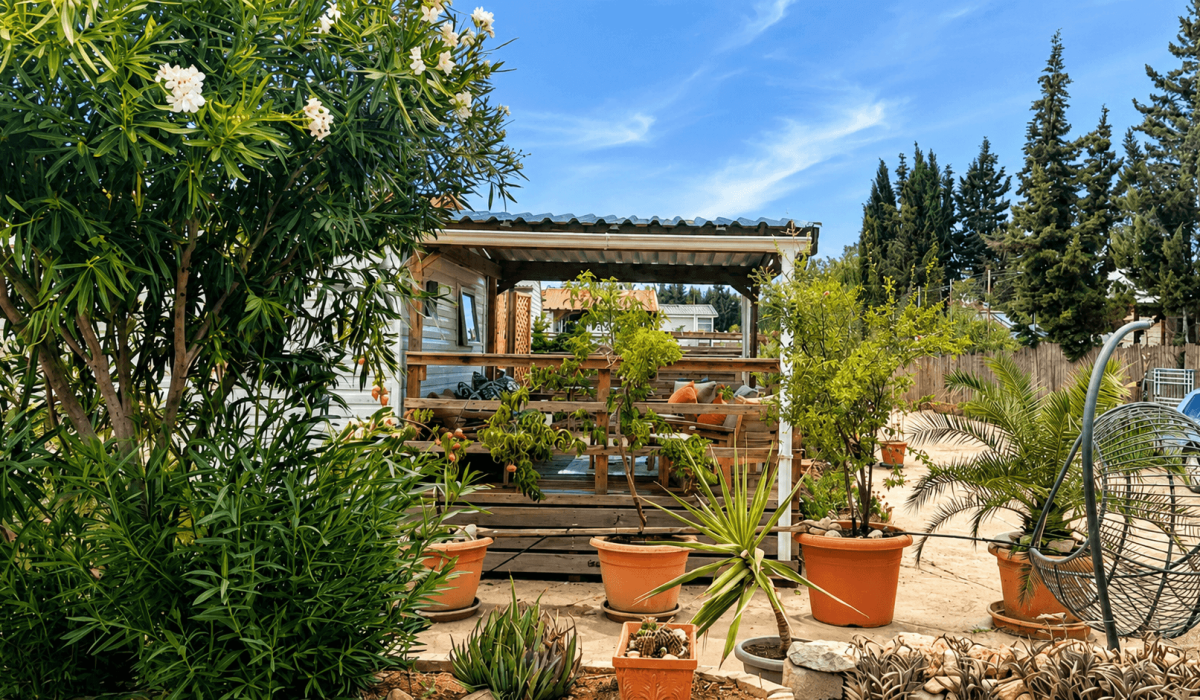 14 Palm Court Saydo (35)