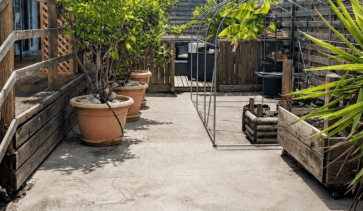 14 Palm Court Saydo (38)