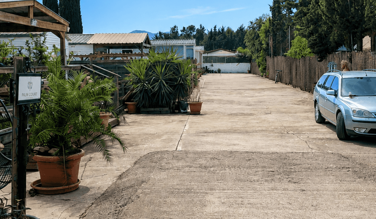 14 Palm Court Saydo (41)