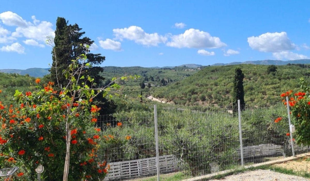 1Tsilivi Mobile Home Park, Zante