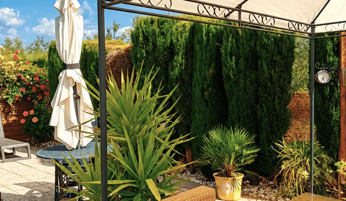 47 Orange Grove (3)