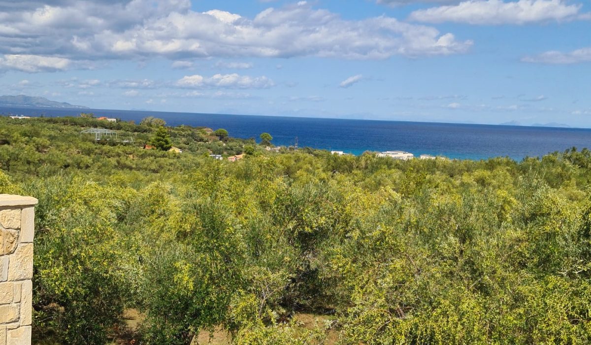 8Tsilivi Mobile Home Park, Zante