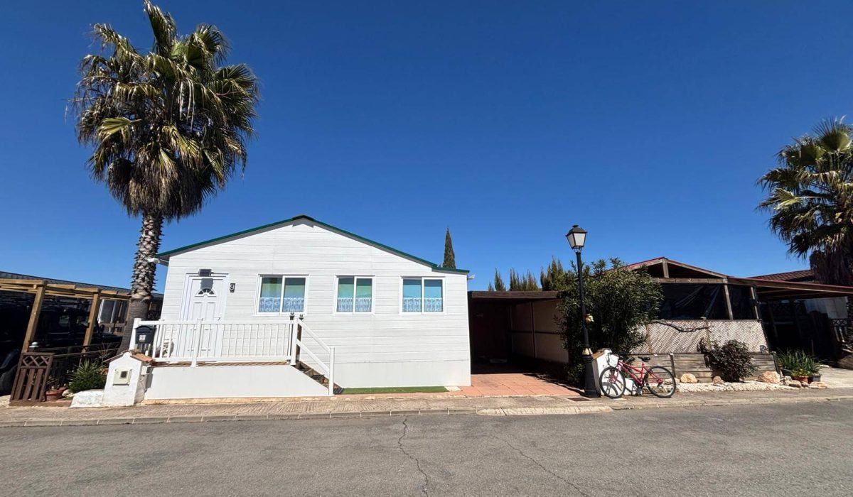 9 Orange Grove Saydo Park Spain (17)